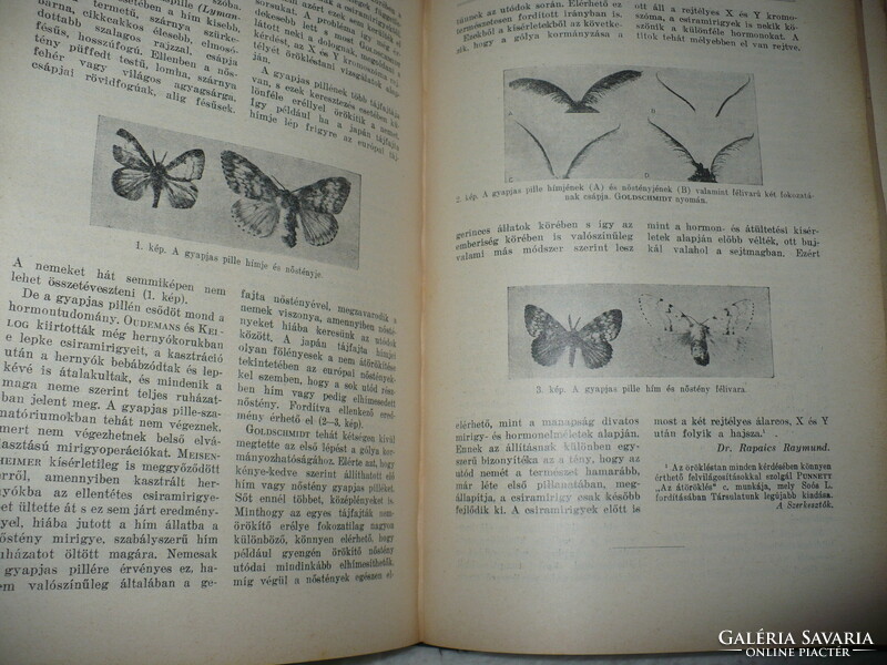 Natural Science Bulletin 1928-29.