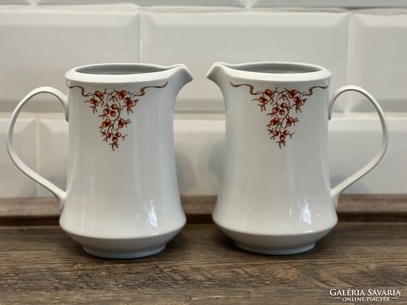 Jugs with berry/rosehip decoration (1l)