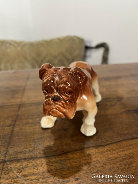 Bulldog porcelain puppy
