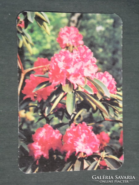 Kártyanaptár, NYFK fagazdasági kombinát, Szombathely, virág, 1986,   (3)