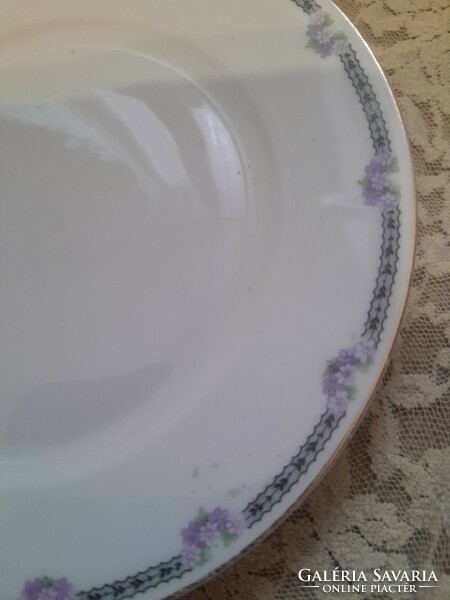 Czech plate with purple flowers 21 cm