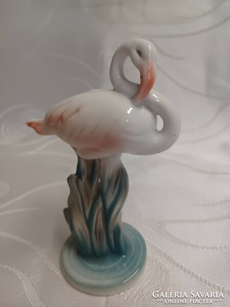 Drasche flamingó