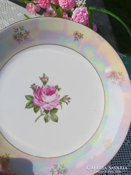 Kahla gyönyörű rózsás tányér kínáló hagyaték