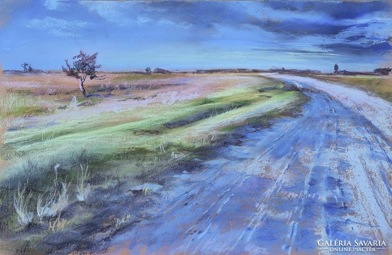 Zsuzsanna Harsányi: wilderness twilight (32.5 x 50 cm pastel cardboard)