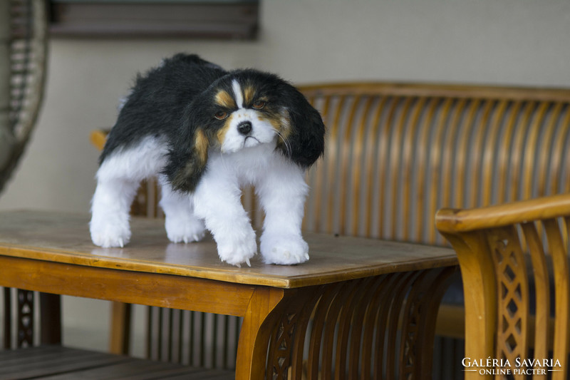 Lifelike cavalier king charles spaniel plush portrait, realistic spaniel dog portrait artistic animal