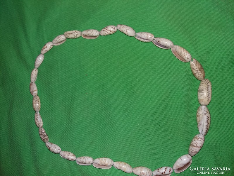 Old Egypt / Africa necklace made of small snails very beautiful 60 cm according to the pictures 2.