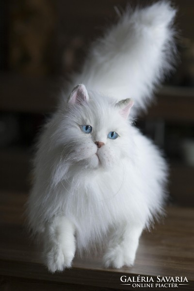 Többféle élethű perzsa macska portré plüss, realisztikus perzsa cica plüss játék reendelésre
