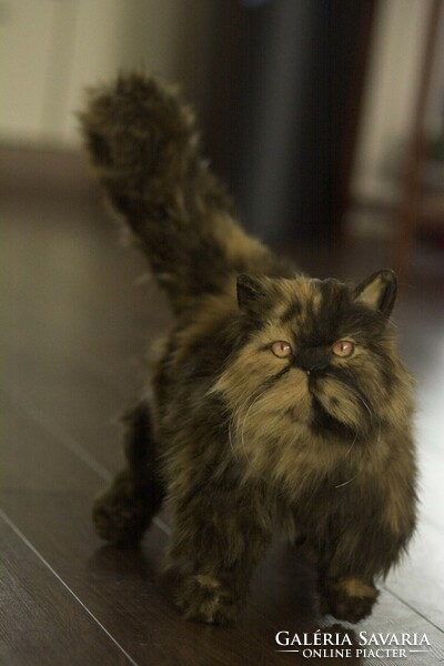 Többféle élethű perzsa macska portré plüss, realisztikus perzsa cica plüss játék reendelésre