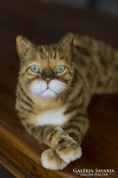 Élethű bengáli macska portré, realisztikus bengáli cica plüss replika játék rendelésre