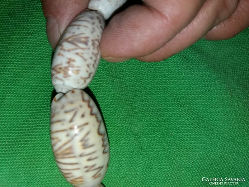 Régi Egyiptom / Afrika apró csigákból fűzött nyaklánc nagyon szép 60 cm a képek szerint 2.