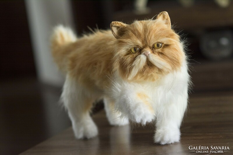 Several types of lifelike Persian cat portrait plush, realistic Persian kitten plush toy available to order