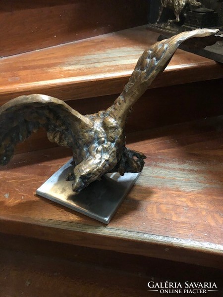 Huge bronze eagle statue with a wingspan of 38 cm.