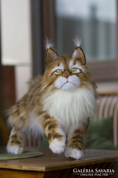 Élethű Maine Coon macska plüss portré, realisztikus cica plüss replika rendelésre