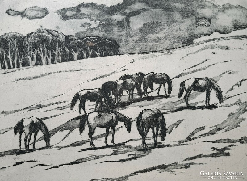 Lajos Novák: horses (etching in frame) animals, grazing horses in the field