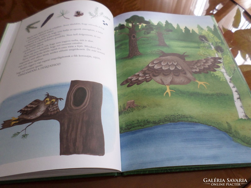 Owl goes on vacation written by ulf stark illustrations by ann-cathrine sigrid stahlberg, 2015