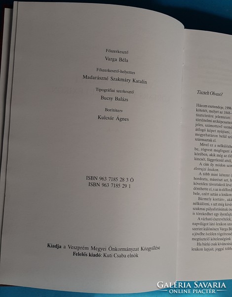 Könyv , Veszprém megyei kortárs életrajzi lexikon , 2001