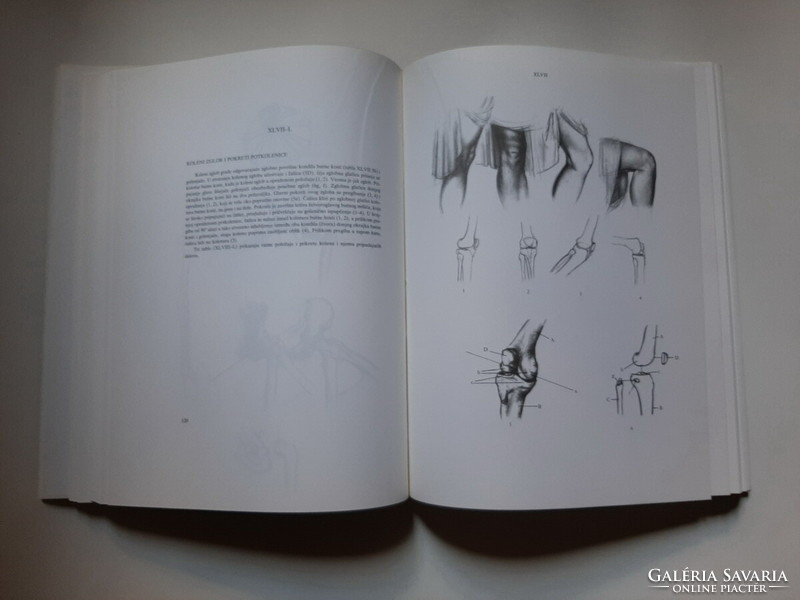 Jenő Barcsay: art anatomy, Yugoslav edition, 1988