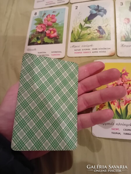 Retro kártya mesekártya növény kártya
