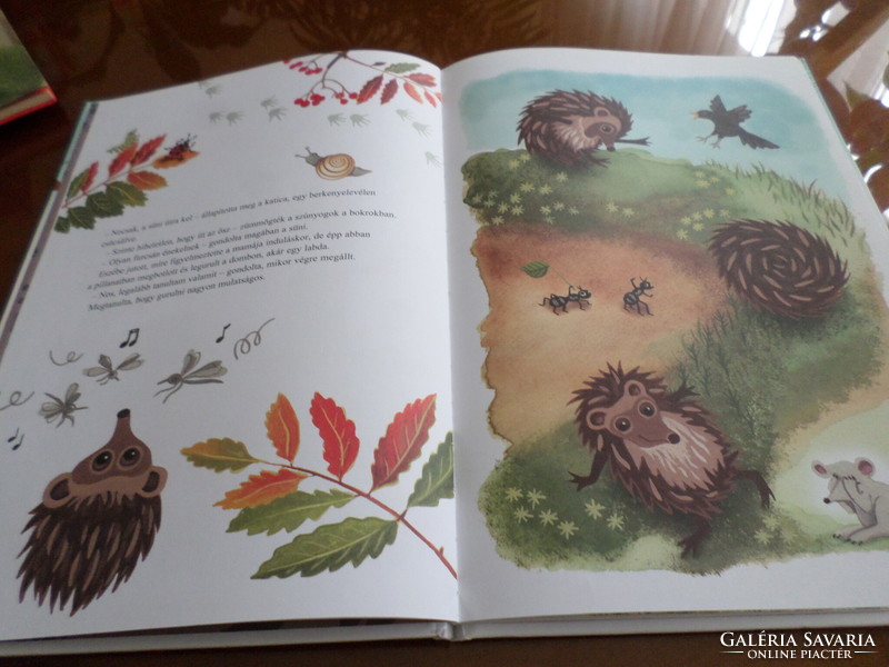 The hedgehog goes to see the world written by: ulf starl illustration: ann-cathrine sigrid stáhlberg 2011