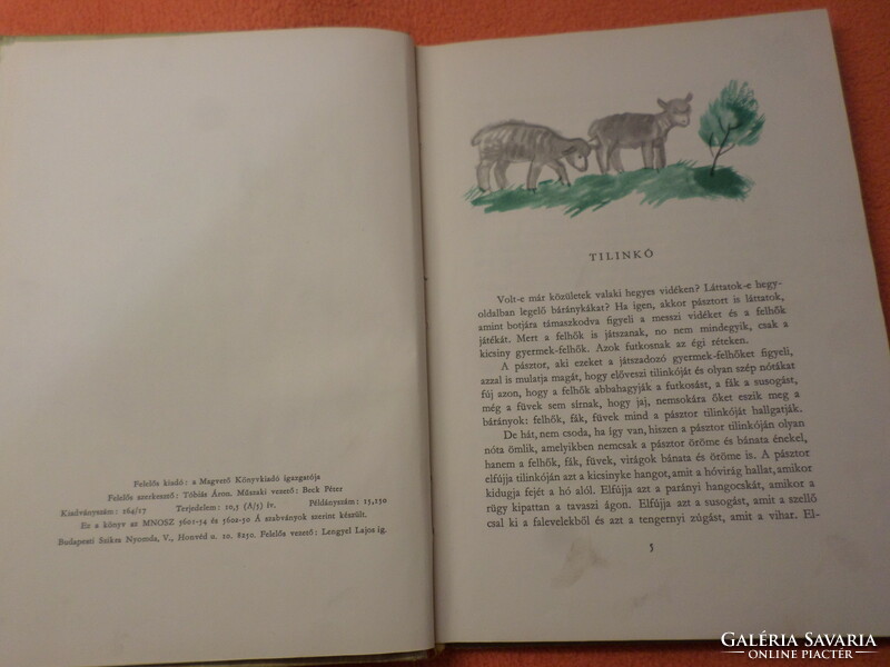 Antique! Rare! Zoltán Zelk Tilinkó book publisher with drawings by Károly Reich, Budapest 1955