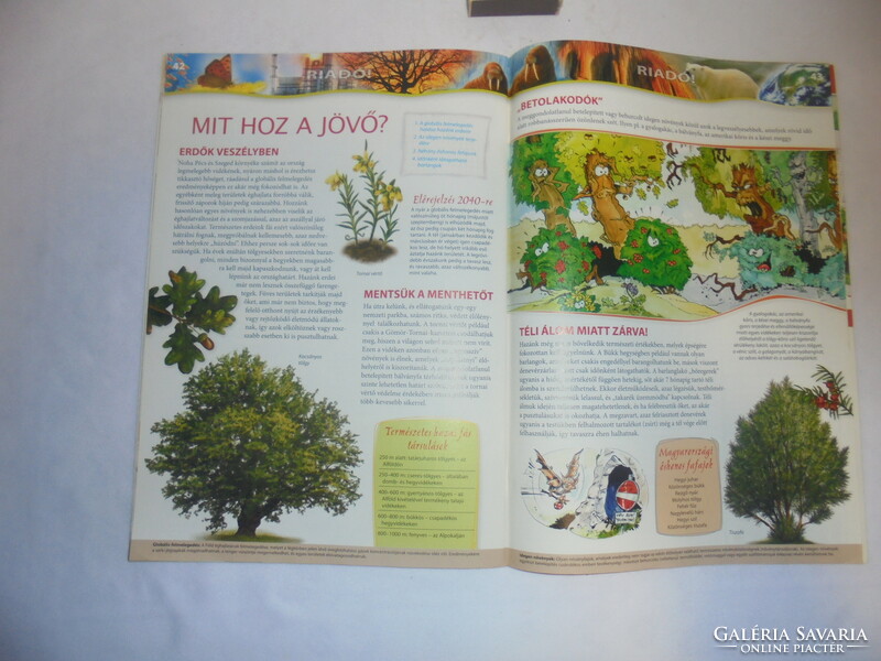 Tudorka magazine 110. - January 2010