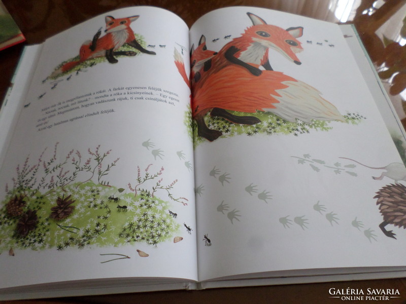 The hedgehog goes to see the world written by: ulf starl illustration: ann-cathrine sigrid stáhlberg 2011