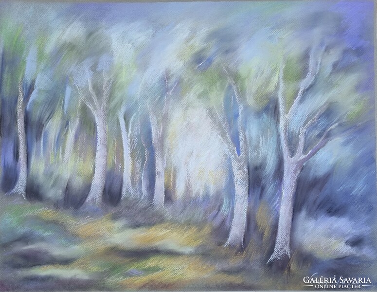 Erzsébet Vassy: Bugac lights (49 x 64 cm pastel cardboard)