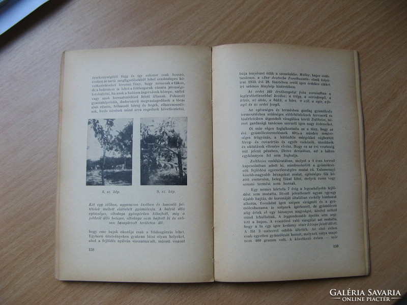 A varázsvessző és annak gyakorlati alkalmazása   Csalány Ferenc 1938 LEÁRAZTAM!