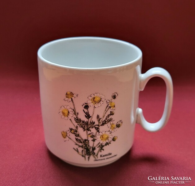 Porcelán csésze bögre kamilla virág mintával botanikai Matricaria Chamomilla