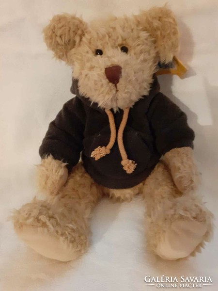 Teddy bear in hoodie (sun kid)