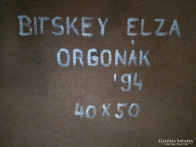 Bitskey elza organs c. His painting
