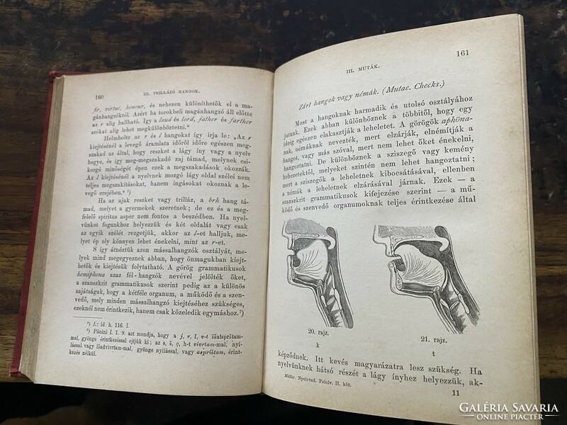 Müller Miksa: Müller Miksa ujabb fölolvasásai a nyelvtudományról (1876)