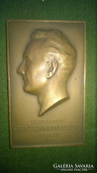 Szent-györgyi Albert bronze plaque in its original box