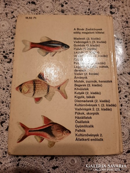 Diving pocket book: fish, negotiable