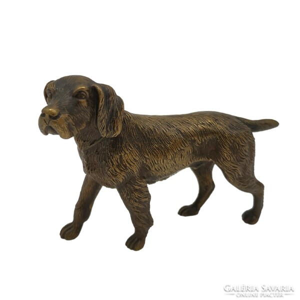 Vienna bronze-German Vizsla-m00871