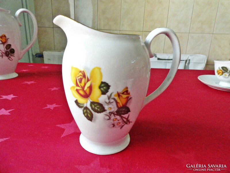 New! Cluj napoca painted porcelain coffee/tea set, 15 pieces beautiful
