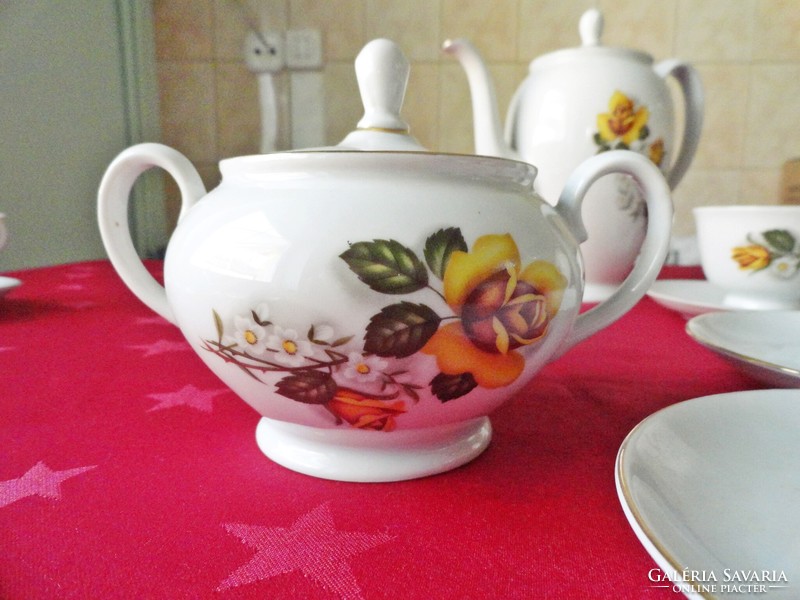 New! Cluj napoca painted porcelain coffee/tea set, 15 pieces beautiful