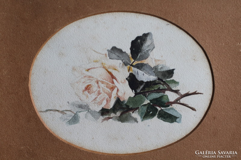 Antique old rose watercolor painting image