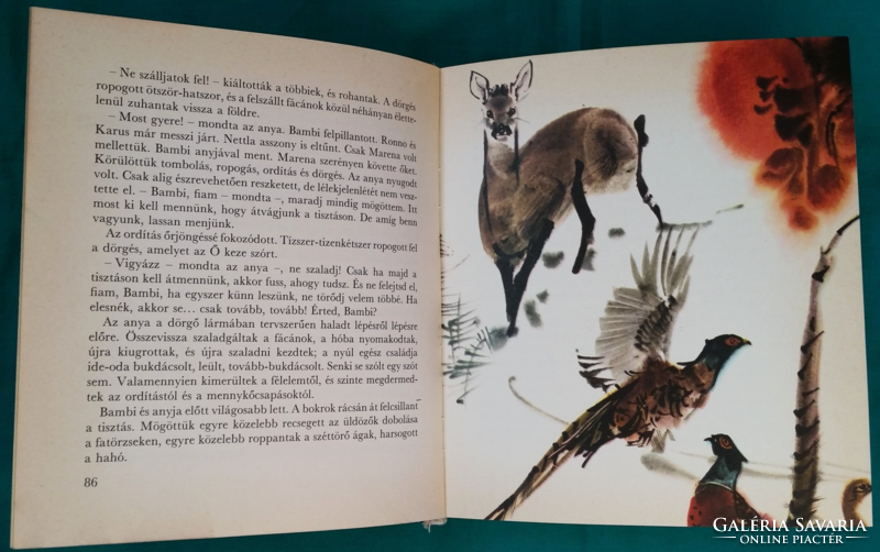 'Felix Salten: Bambi > Gyermek- és ifjúsági irodalom > Mesekönyv
