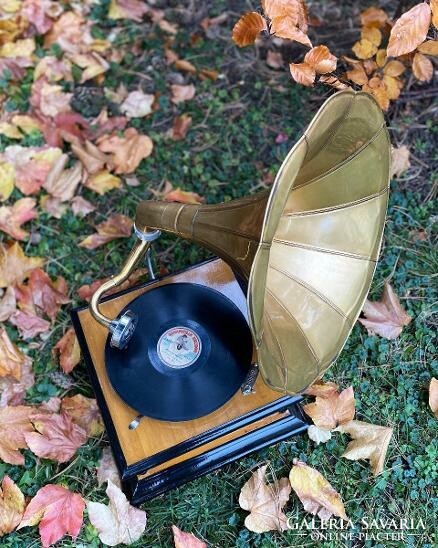 Perfect gramophone ;)
