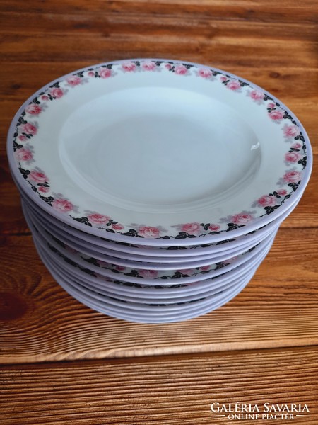 Schlaggenwald porcelain plates, 4 deep, 8 flat, 12 in one