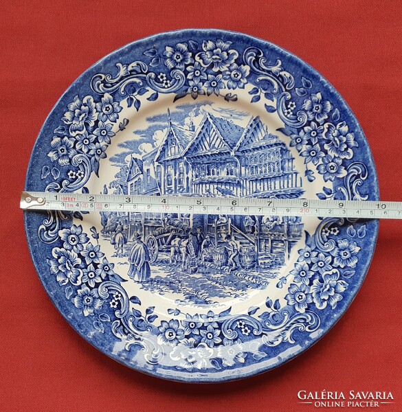 Ironstone royal tudor ware English blue scene porcelain plate