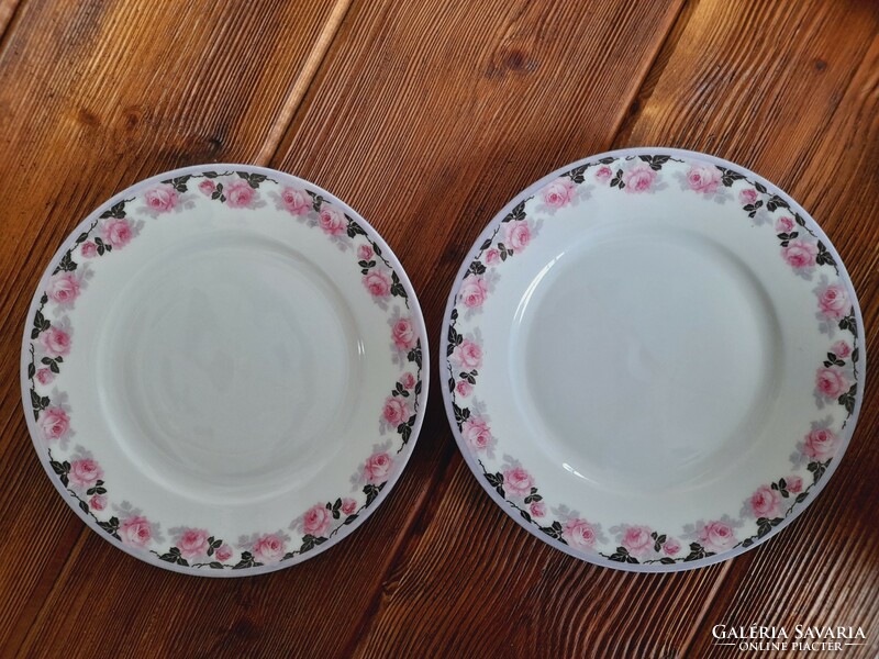 Schlaggenwald porcelain dinner set, 21 pieces in one