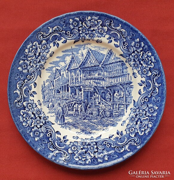 Ironstone royal tudor ware English blue scene porcelain plate