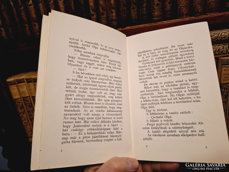 1924-26 Dante-Gárdonyi gauze works 1.- 43.--Two missing!-Gottermayer binding!--Nice condition! Cheap!