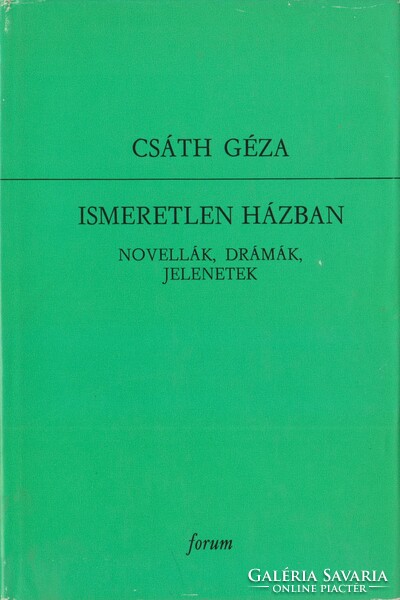 Geza Csáth: in an unknown house