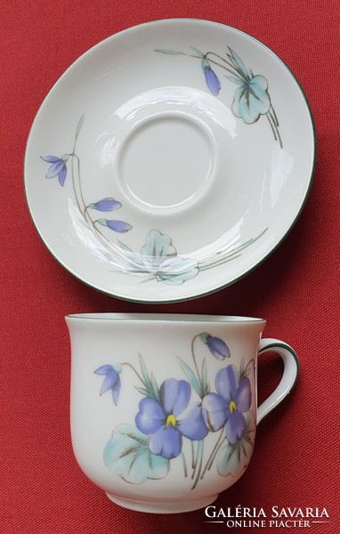 Winterling Röslau Bavaria német porcelán kávés teás szett csésze csészealj árvácska virág mintával