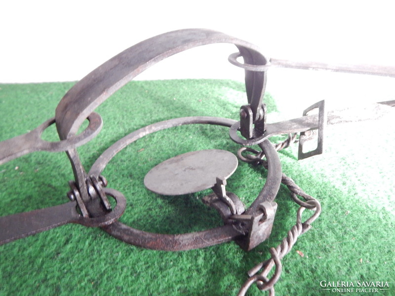 Snare or weasel trap, made of iron.