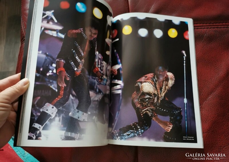 The life of michael jackson book