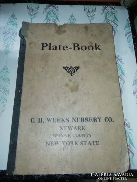 G.H. Weeks Nursery co Plate Book Nagyon ritka gyűjteményből 167.